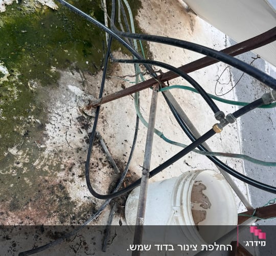 צנרת מים חיצונית וסימני רטיבות ועובש על משטח גג